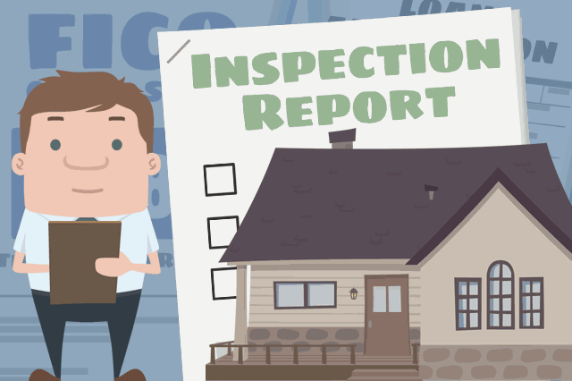 inspection-05-5deed43d06e63.png